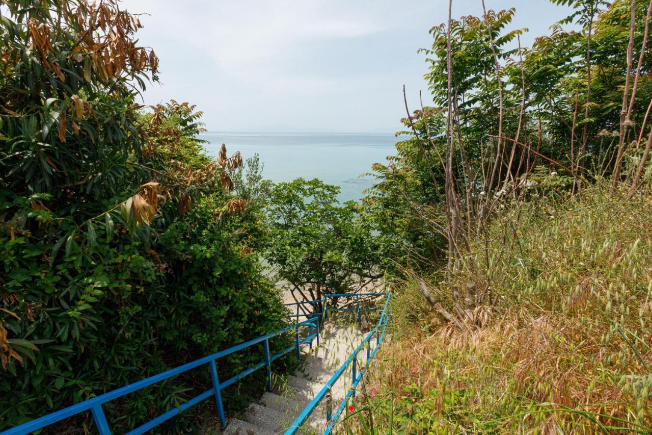 סוזופולי Lofos Apartments In Vergia Halkidiki מראה חיצוני תמונה